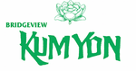 Bridgeview Kum Yon Newport Logo